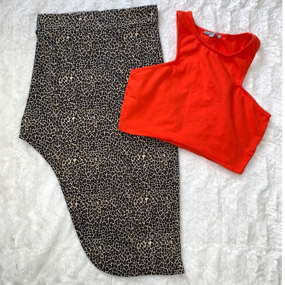 Skirt Set